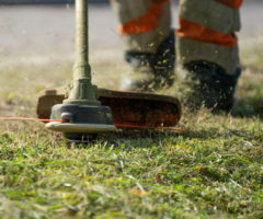 Quick Service Yard Maintenance